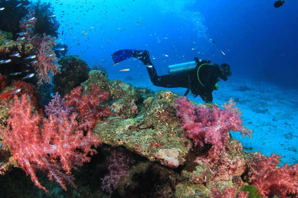 Beginners Scuba Diving in Moalboal