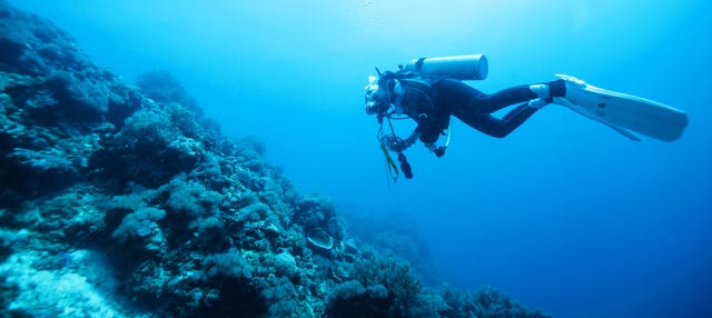 PADI Open Water Diver in Moalboal