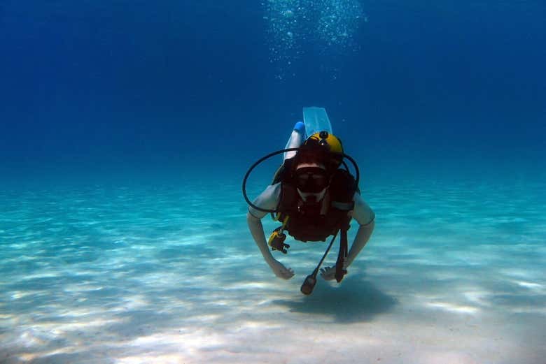 Scuba diving in Moalboal