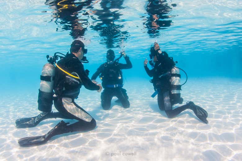 PADI Open Water Diver in Moalboal - Book Online at Civitatis.com