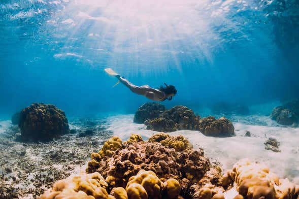 Port Barton Snorkelling Tour