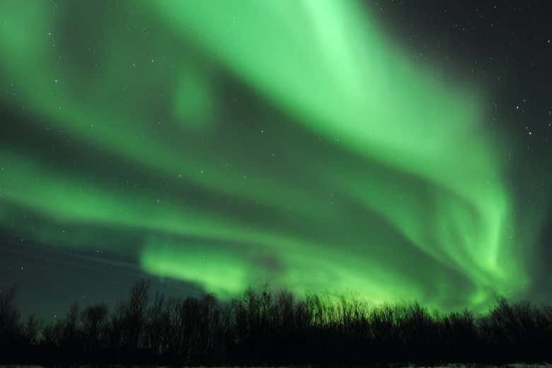 Aurora Borealis Snowshoe Tour in Äkäslompolo - Civitatis.com