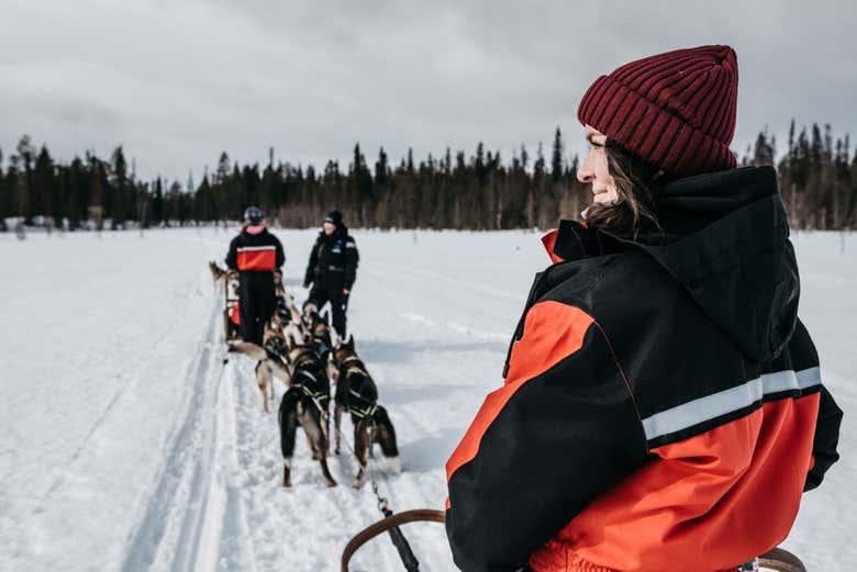 Husky sleigh ride