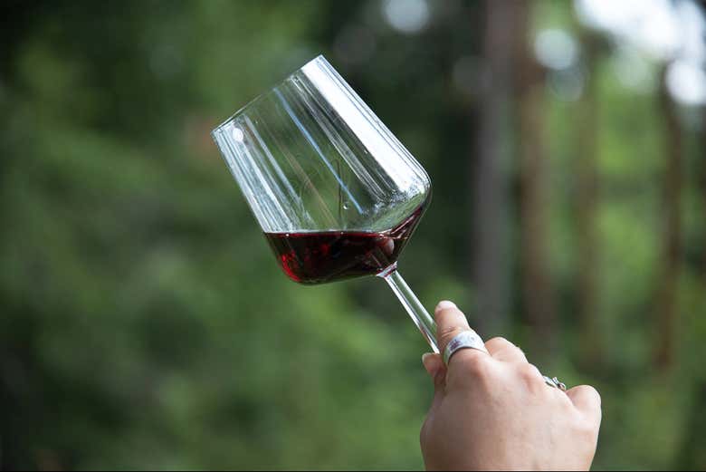 Una copa de vino tinto en los bosques de Espoo