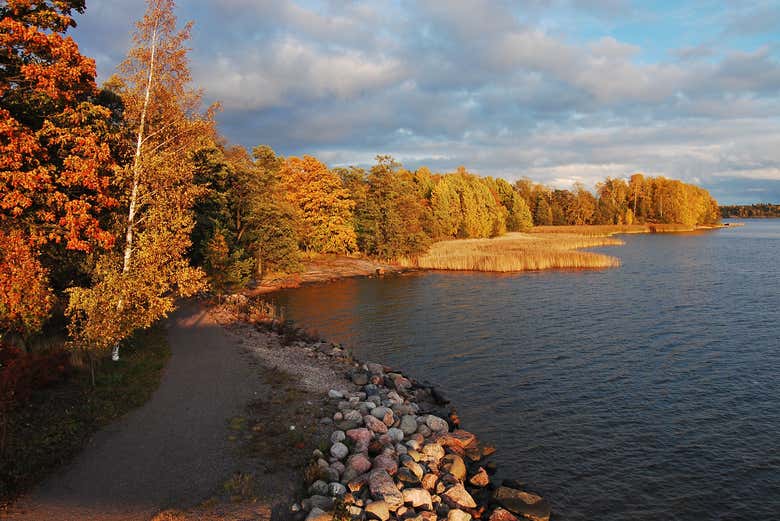 Smart City & Mustikkamaa Tour, Helsinki