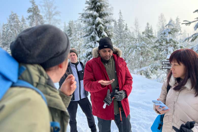 Parque Nacional Liesjärvi en invierno