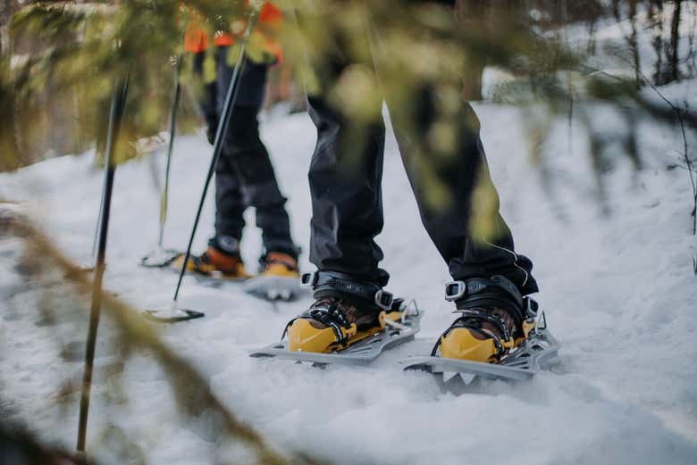 Snowshoes hike in Inari