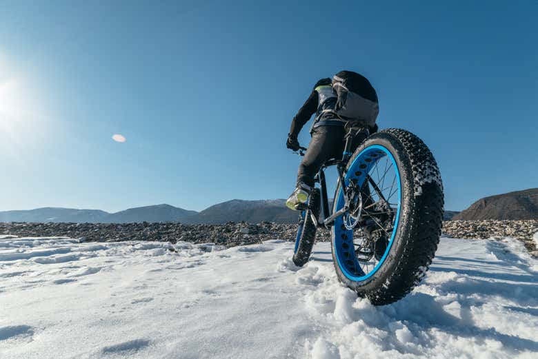 Fat bike rental