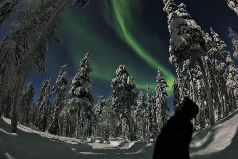 Tour de la aurora boreal en raquetas de nieve