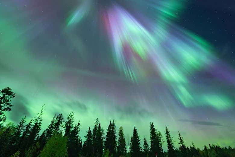 Auroras boreales en el cielo de Rovaniemi