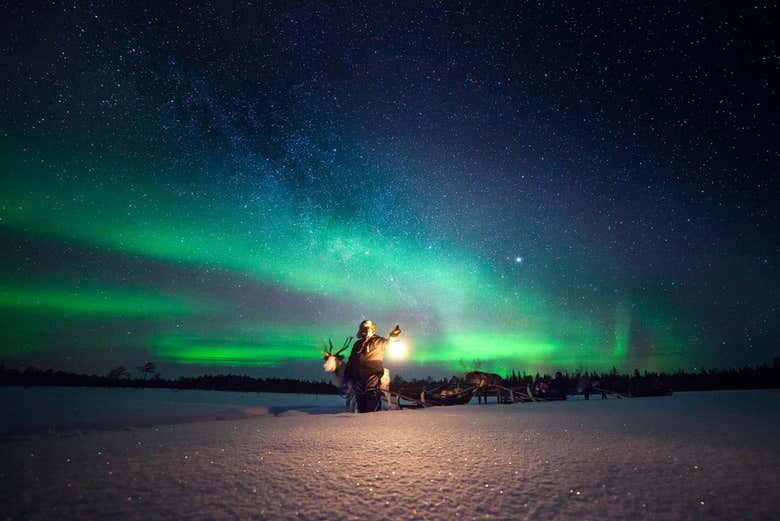 Paseo en trineo bajo la aurora boreal