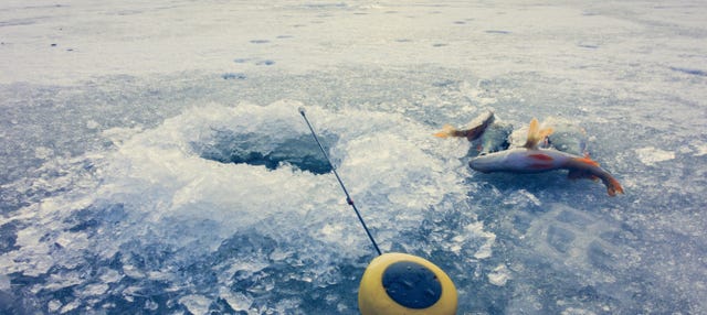 Raquetas de Nieve - Canoe Aventura Trophy