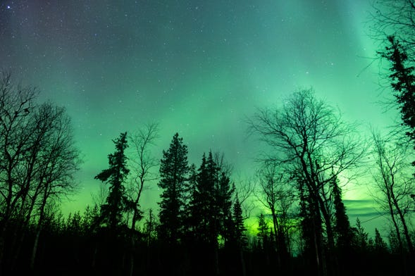 The Northern Lights by the Numbers - Spectacular NWT