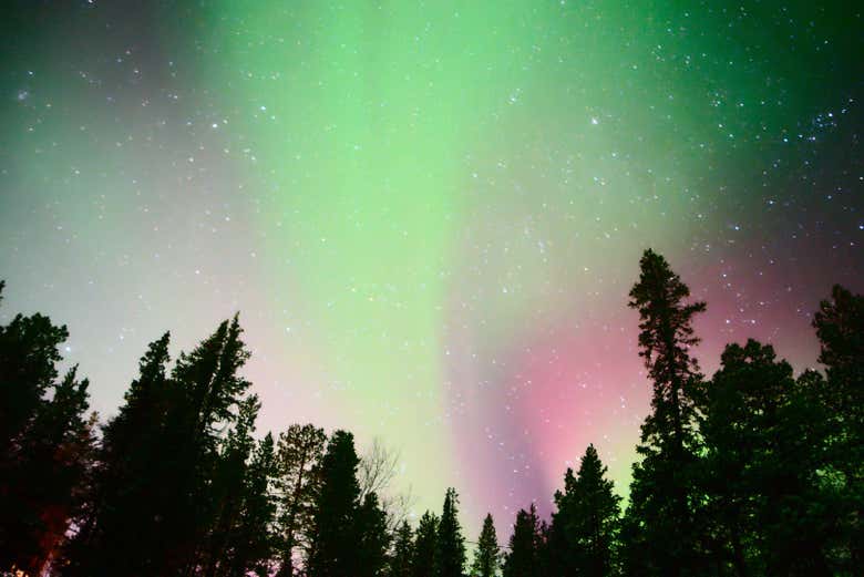 Witness a picture perfect nighttime sky