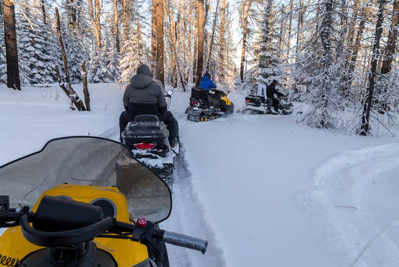 Traversing the snowy trails