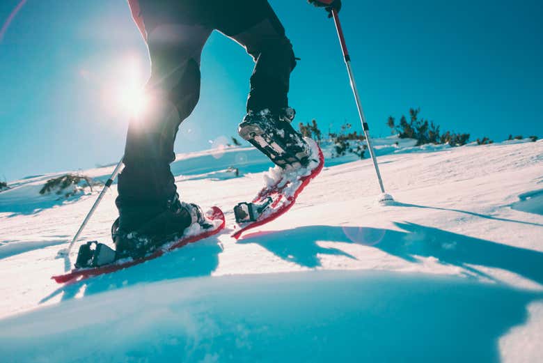 Tour con raquetas de nieve por Ylläsjärvi