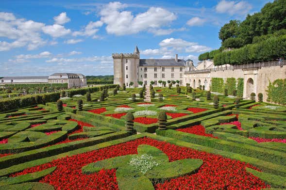 Visite des châteaux de Villandry et Azay-le-Rideau + Caves à vin de la Loire