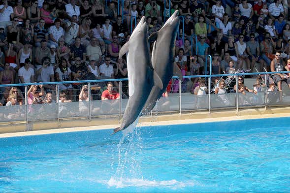 Marineland Tickets