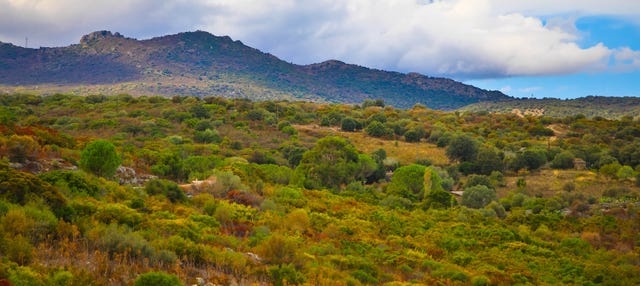 Agriates Desert Tour