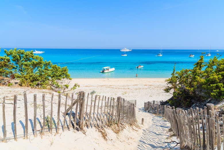 Saleccia, a paradisiacal beach in the north of Corsica