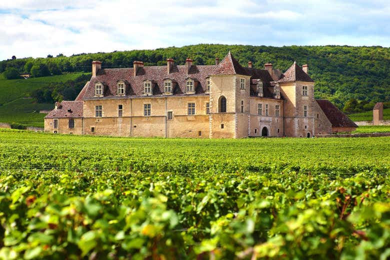 Burgundy shop wine tours