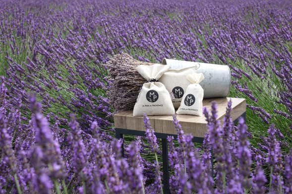 Provençal Lavender Farm Tour