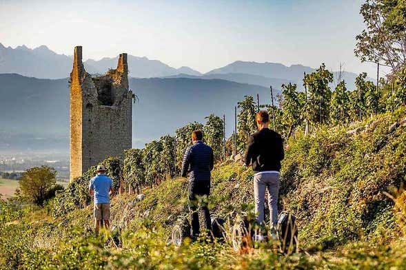 Balade en segway dans Chignin + dégustation de vins