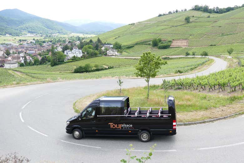 Alsace wine tour on sightseeing minibus