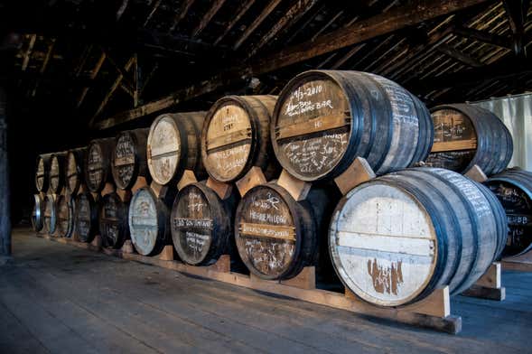 Visite de la distillerie de Cognac Braastad avec dégustation