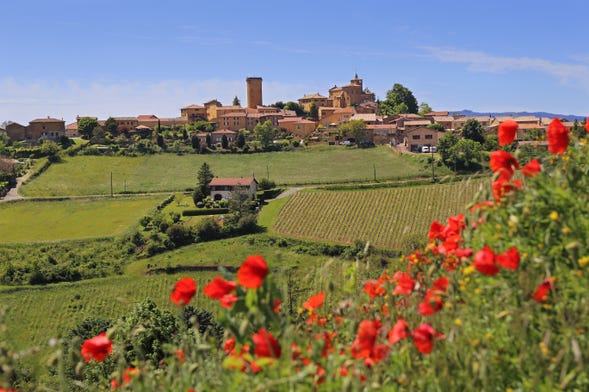 Excursion à Oingt + Visite d'un domaine viticole de Beaujolais