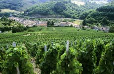 Rhone Valley Wine Tour