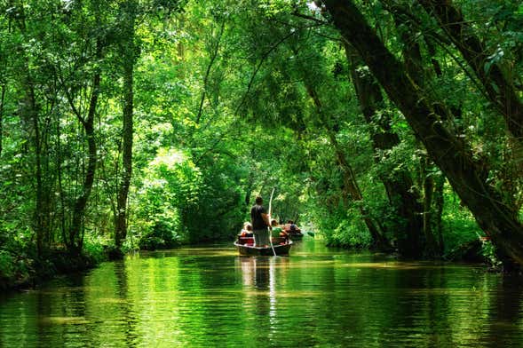 Magné Private Boat Ride