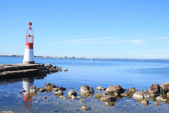 Excursión al Étang de Thau con degustación de ostras y paseo en barco