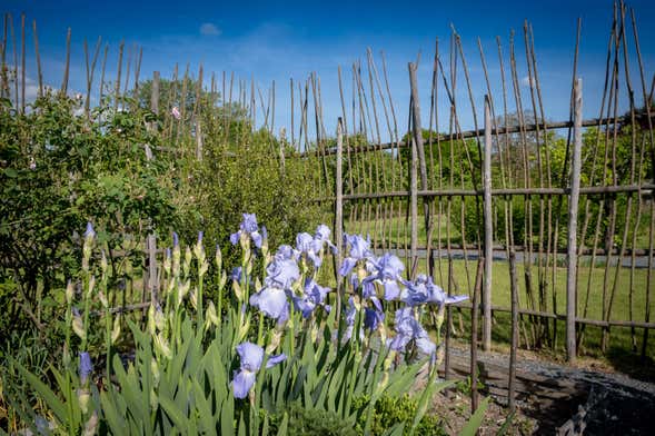 Billets pour les jardins de Puygirault