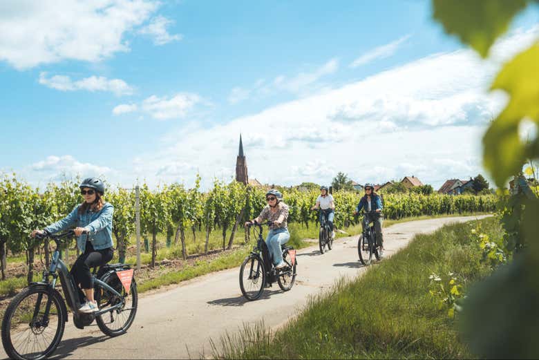 Pedaleando junto a los viñedos de Alsacia