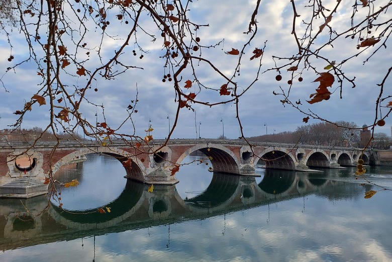 Pont Neuf sur la Garonne, Toulouse, France Painting by Dai Wynn