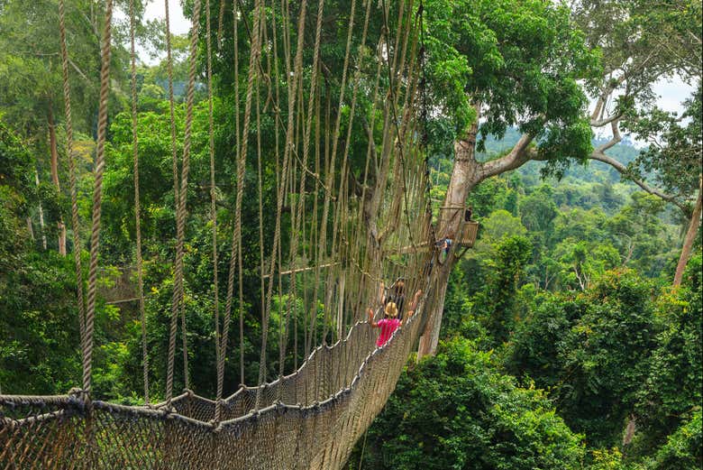 Kakum National Park