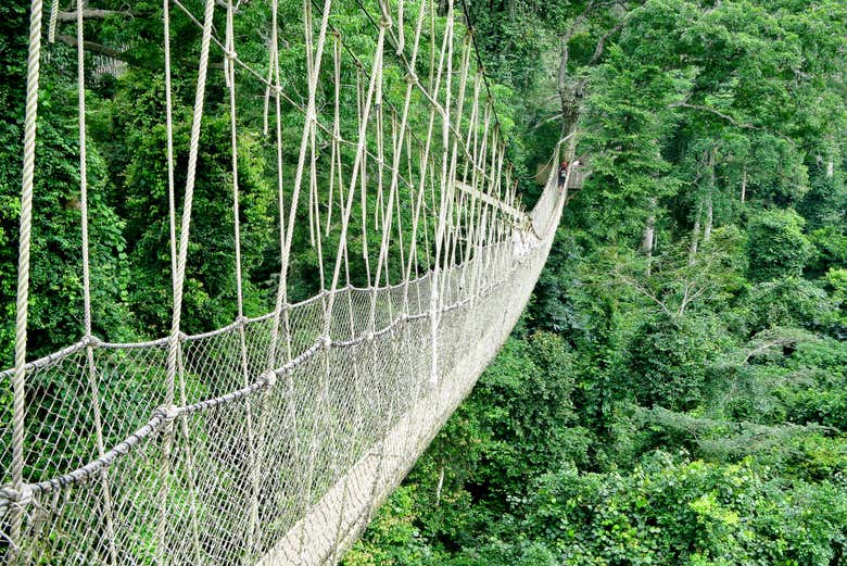 Parque Nacional Kakum