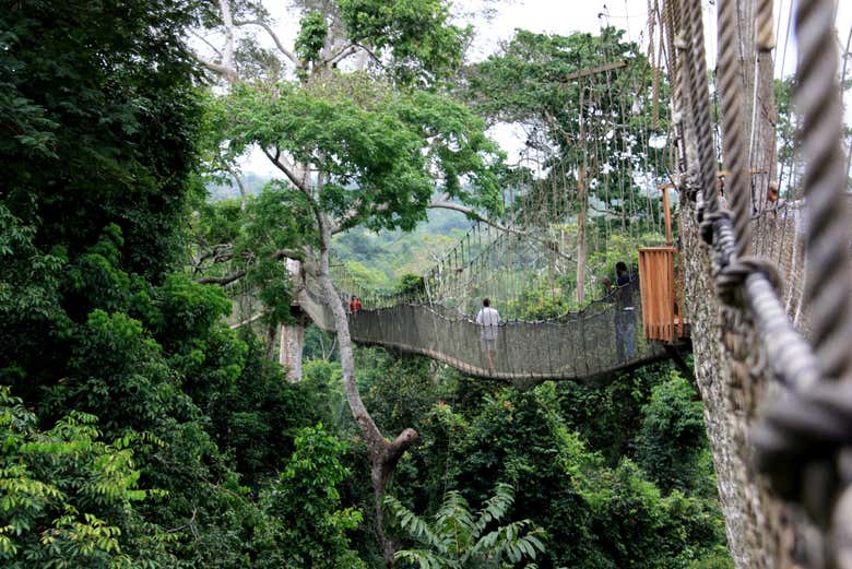 Ponte suspensa do Parque Nacional de Kakum