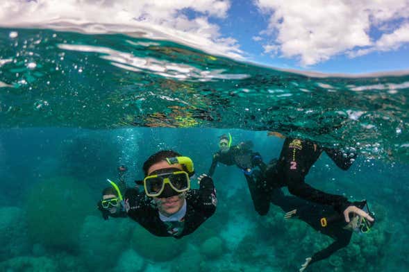 Snorkel en Agia Pelagia