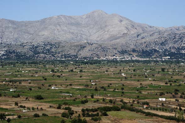 Lassithi Plateau Day Trip