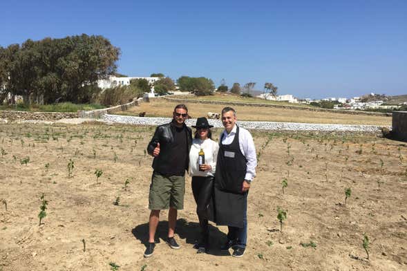 Wine Tasting at a Greek Farm in Mykonos