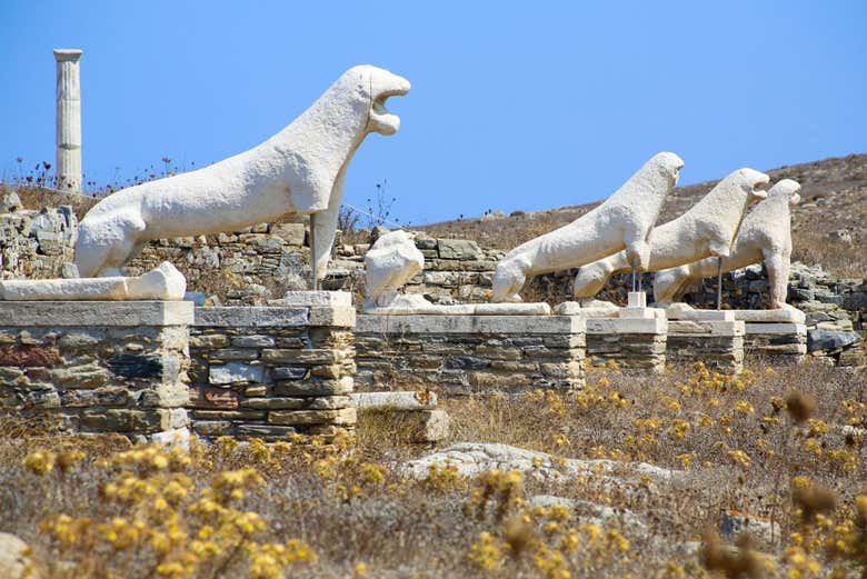 Delos & Rhenia Islands Cruise from Mykonos - Book at 