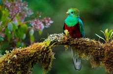 Semuc Champey, Cobán & Quetzal 3-Day Tour