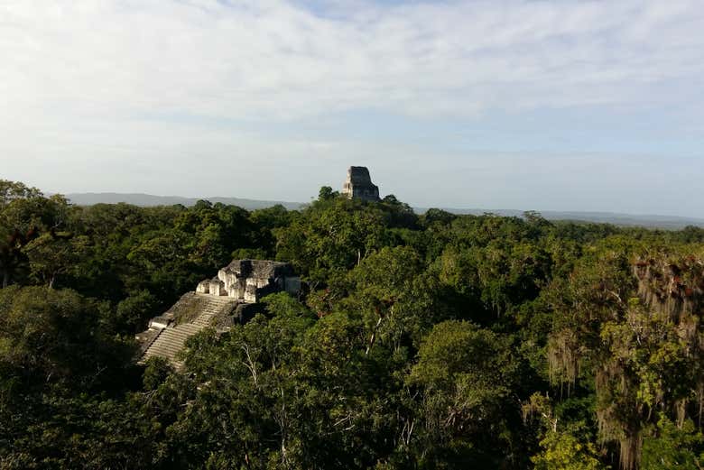 Exploring Tikal