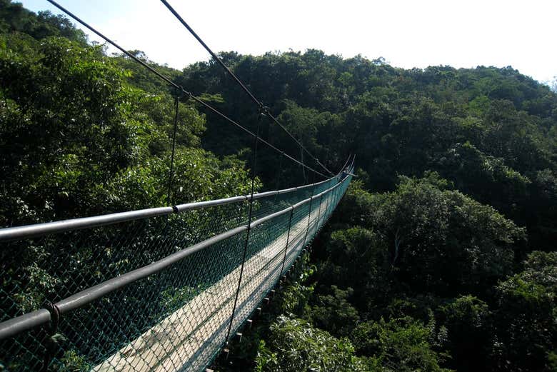 Ixpanpajul Natural Park Suspension Bridge