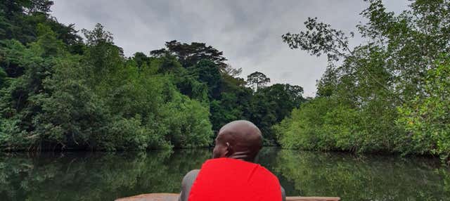 Utonde River Canoe Ride + Traditional Farm Visit