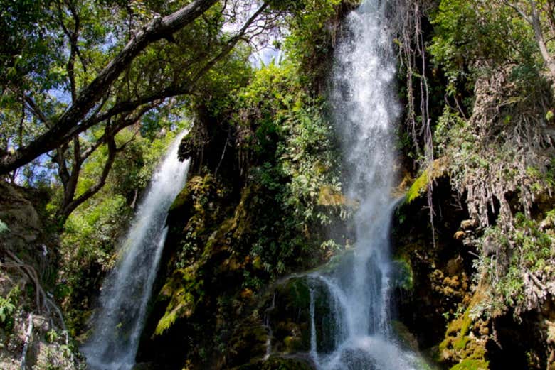 Cascadas de Salto de Agua