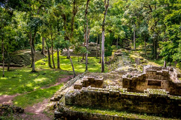 Excursión privada al Parque Arqueológico y Parque de Aves