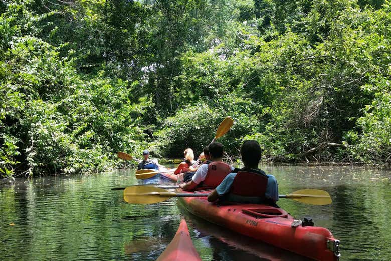 Kayak tour in Cacao Lagoon